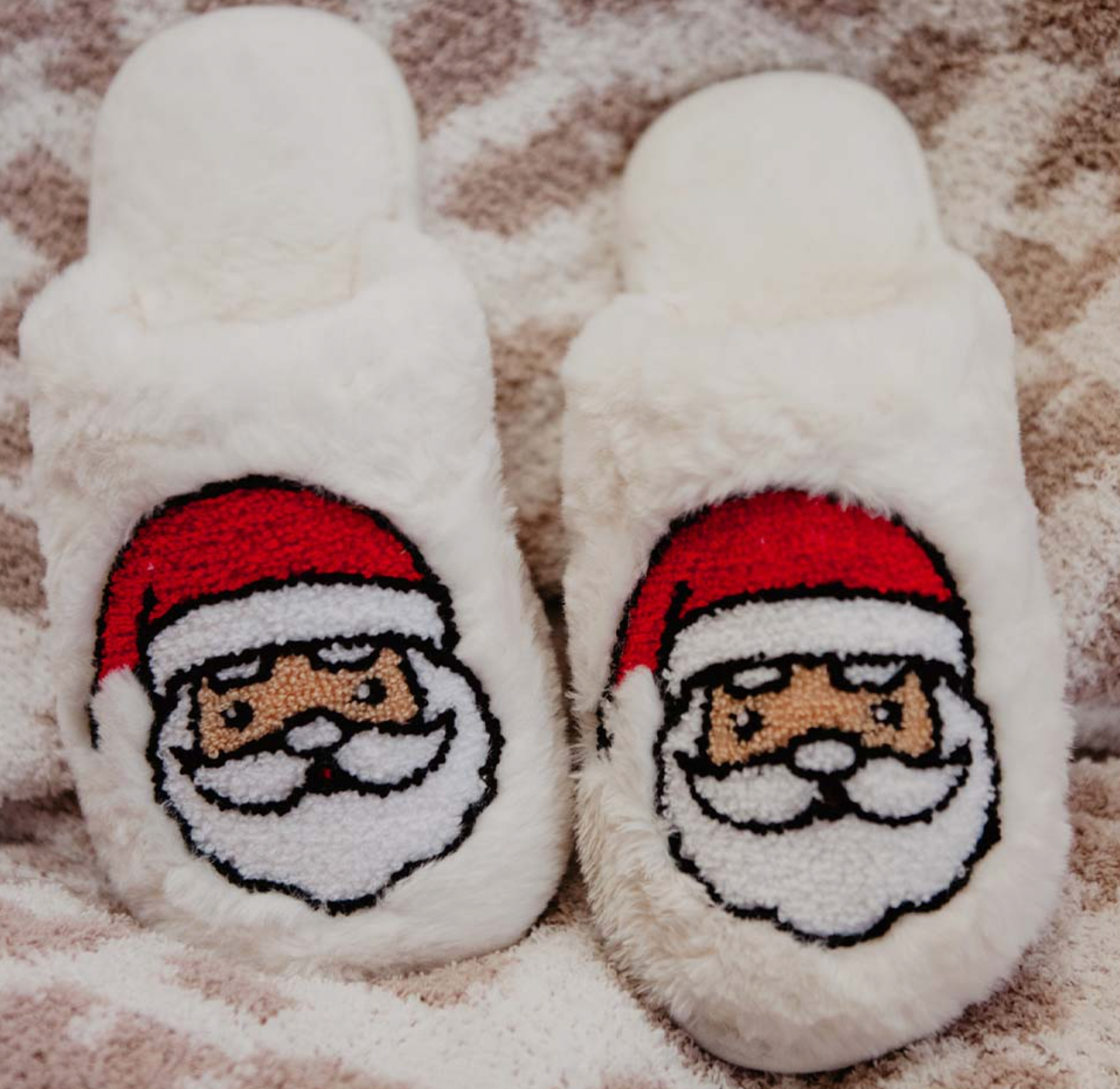 Santa Clause Slippers