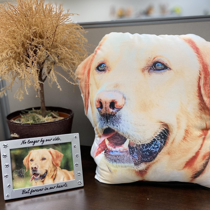 Custom Shaped Pet Pillow