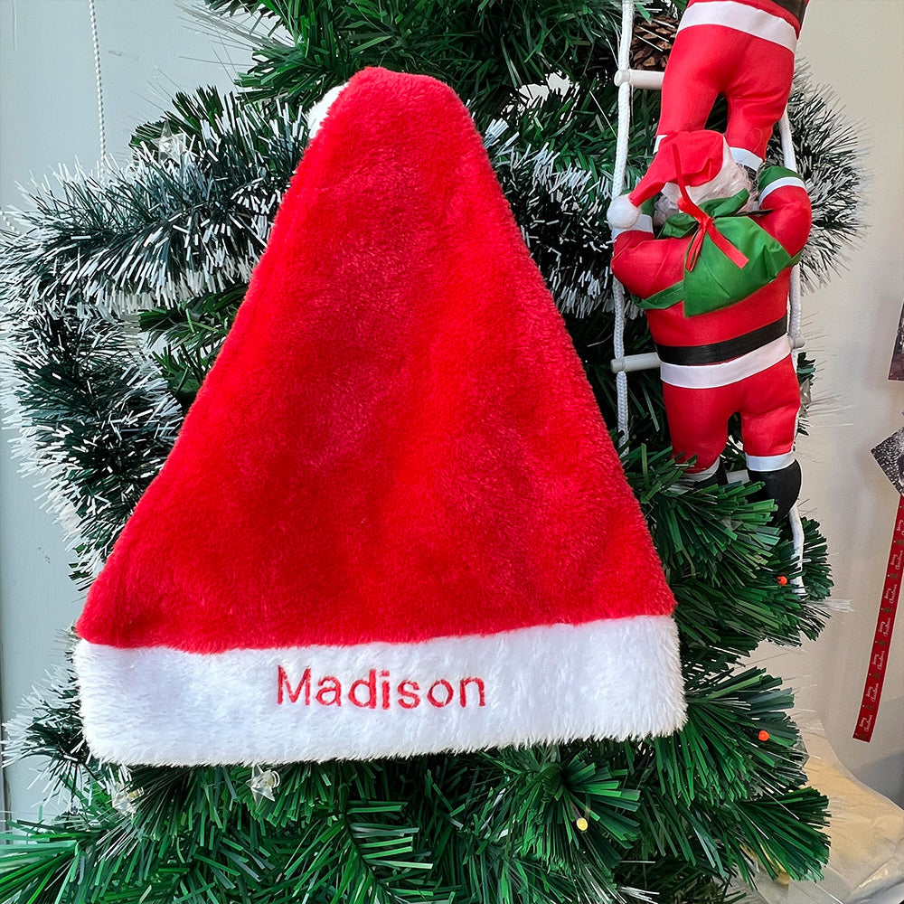 Embroidered Names Plush Velvet Santa Hat